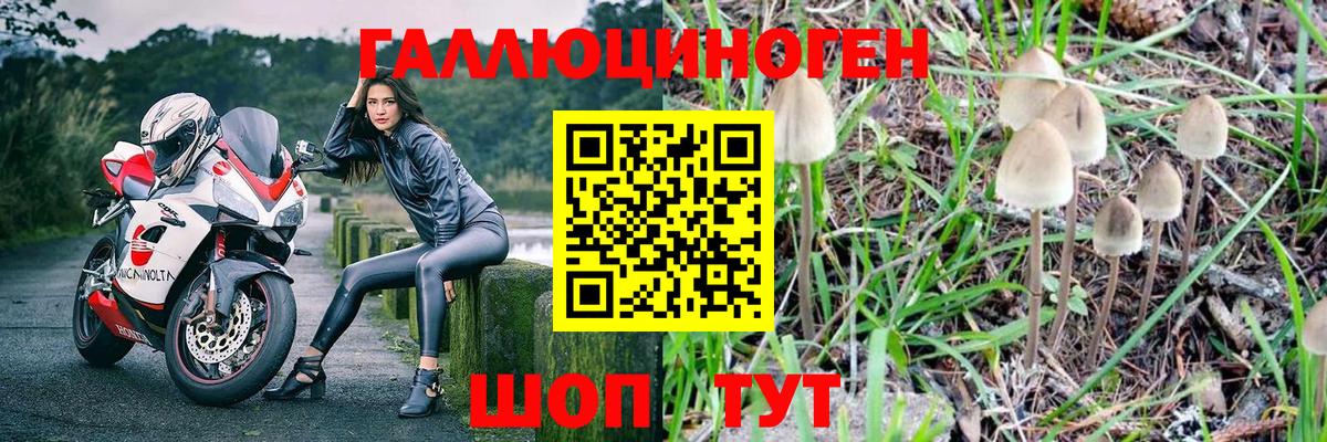 Верхняя Салда  Галлюциногенные грибы ЛСД  закладки  Вход с VPN 