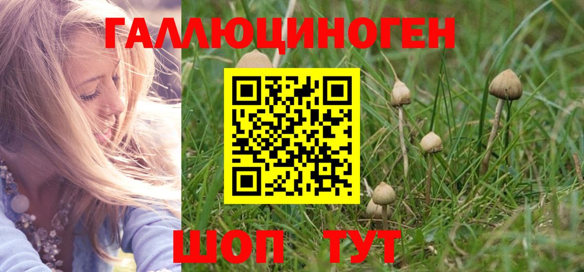 Псилоцибиновые грибы Psilocybine cubensis Верхняя Салда